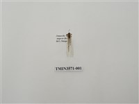 藏品(蟻蛉48)的圖片